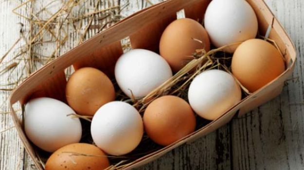 Trứng và sản phẩm sữa: Trứng và các sản phẩm từ sữa là những thức ăn tuyệt vời cho sự phát triển và độ dày của tóc.
Sữa, sữa chua và trứng rất giàu chất dinh dưỡng thiết yếu như protein, vitamin B12, sắt, kẽm và axit béo Omega 6. Các sản phẩm sữa cũng là nguồn biotin (vitamin B7) được biết đến để chống rụng tóc.