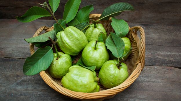 Ổi: Vitamin C giúp tóc bạn không bị giòn và dễ gãy. Ổi chứa nhiều vitamic C hơn cam, giúp tăng hoạt tính collagen cần thiết cho sự phát triển của tóc.