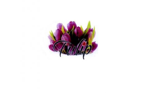 Nhãn hiệu TULIP của Hộ kinh doanh cá thể Hồng Phúc